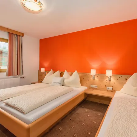 Gasthuis Gaestehaus Sieder By Schladming-appartements